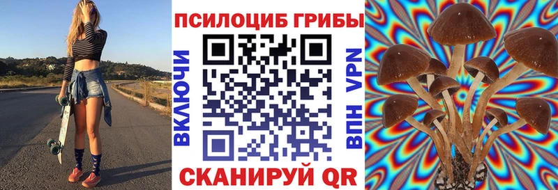 Псилоцибиновые грибы Magic Shrooms  Ельня 